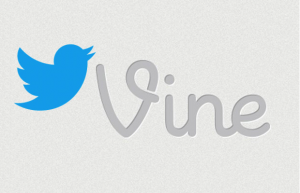 twitter-vine