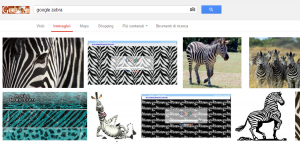 google-zebra